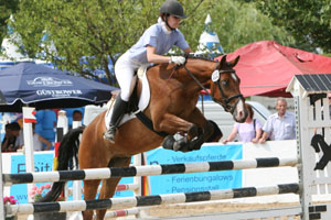 NEMO v. Nobelboy x Top Nordpol - erfolgreichstes 4-jähriges MV-Springpony. Foto: Wego